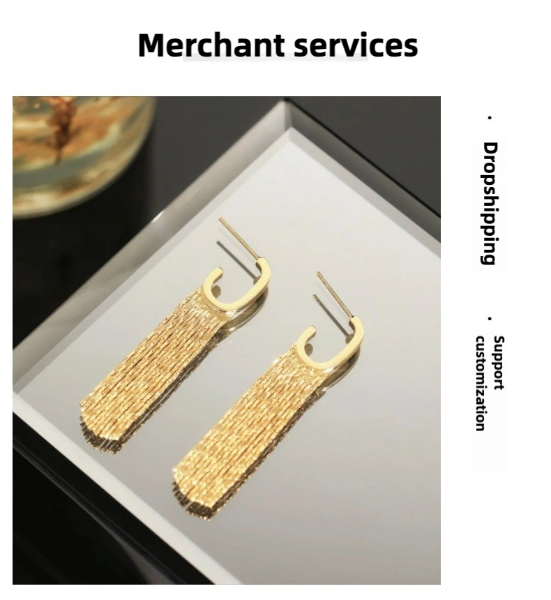 Temperament G word tassel earrings female light luxury high sense long studs Fashion temperament niche design earrings