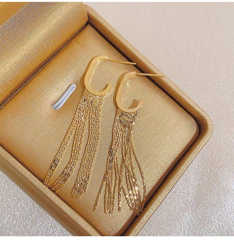 Temperament G word tassel earrings female light luxury high sense long studs Fashion temperament niche design earrings